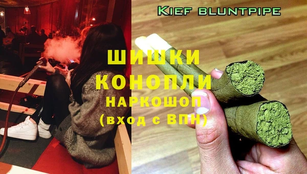 гидропоника Алексеевка