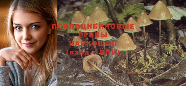 ALPHA PVP Алзамай
