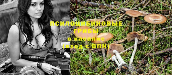 мяу мяу кристалл Алексин